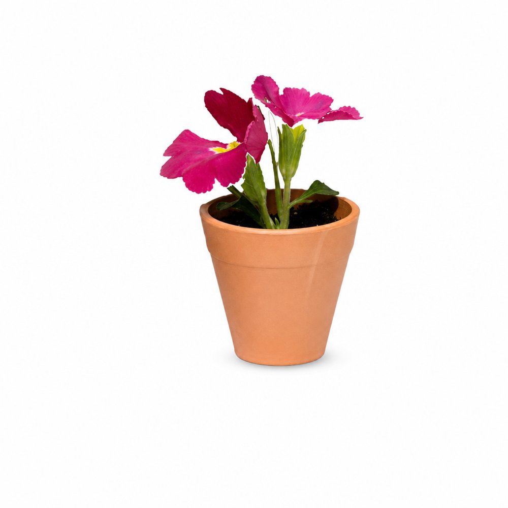 Blühen Sie Blumensamen-Töpfe
