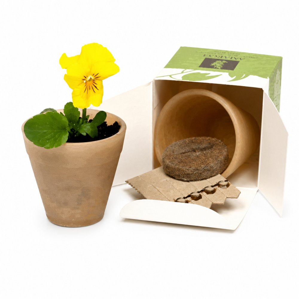 Flourish Cornstarch Bio Gift Pots