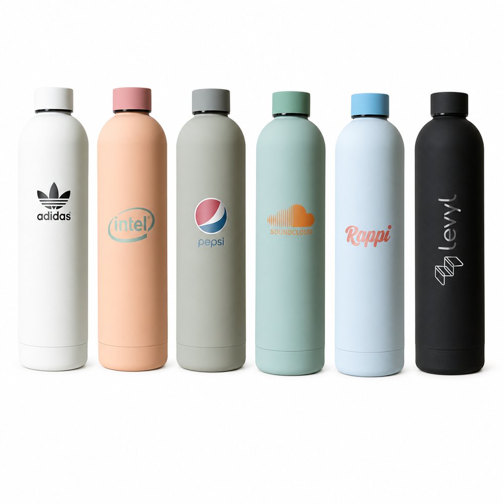 Dylan Doppelwandige Wasserflaschen (750 ml)