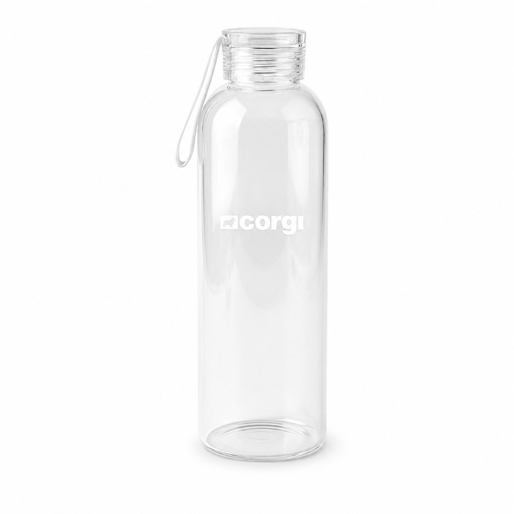 Borosilikatglas-Trinkflaschen (750ml, Silikongriff)